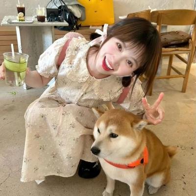 真爱大骗局
